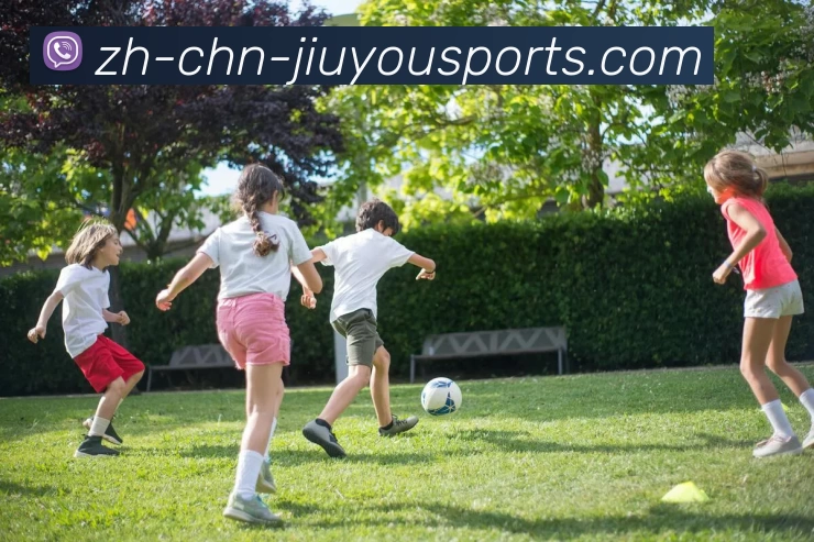 九游体育平台生态图