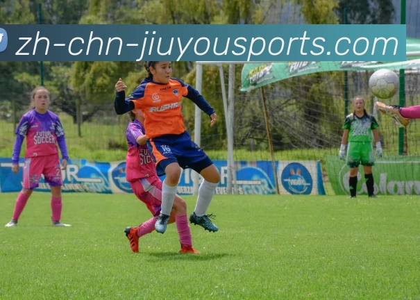 九游体育APP 封面图